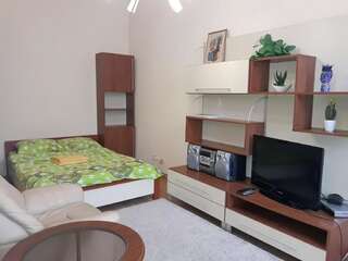 Апартаменты Baseina Apartments Киев Номер-студио-2