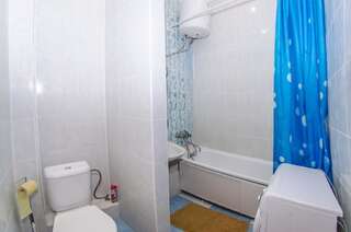 Апартаменты Baseina Apartments Киев Номер-студио-4
